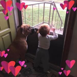 Meet your Posher, Karla